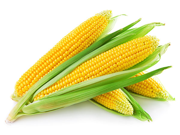 corn-dental-implants